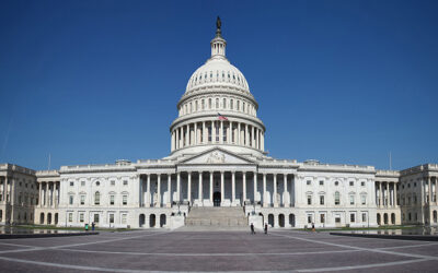 Morbi at Finibus Nun